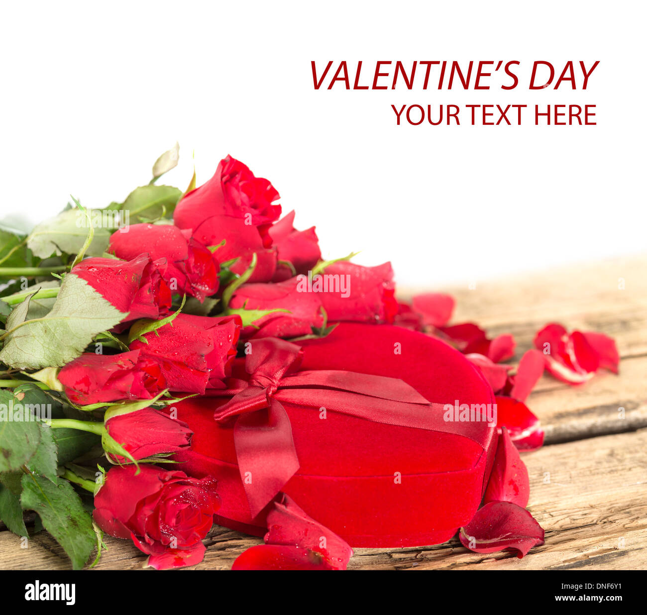 perfekte Valentinstag rose Blumen Stockfoto