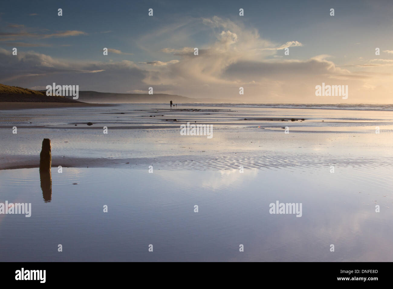 Ynyslas Naturschutzgebiet, Wales, UK. 25. Dezember 2013. Nach Tagen des gewaltigen Stürme, die Misshandlung der Küstenstreifens brachte Weihnachten schönes ruhiges Wetter in der Abenddämmerung im Ynyslas Naturreservat, Wales. Wanderer und ihre Haustiere gehen Sie ihr Weihnachtsessen mit einem luftigen Spaziergang entlang dem Strand und Dünen des Ynyslas Nature Reserve. Bildnachweis: atgof.co/Alamy Live News Stockfoto Ynyslas Naturschutzgebiet, Wales, UK. 25. Dezember 2013. Nach Tagen des gewaltigen Stürme, die Misshandlung der Küstenstreifens brachte Weihnachten schönes ruhiges Wetter in der Abenddämmerung im Ynyslas Naturreservat, Wales. Wanderer und ihre Haustiere gehen Sie ihr Weihnachtsessen mit einem luftigen Spaziergang entlang dem Strand und Dünen des Ynyslas Nature Reserve. Bildnachweis: atgof.co/Alamy Live News Stockfoto