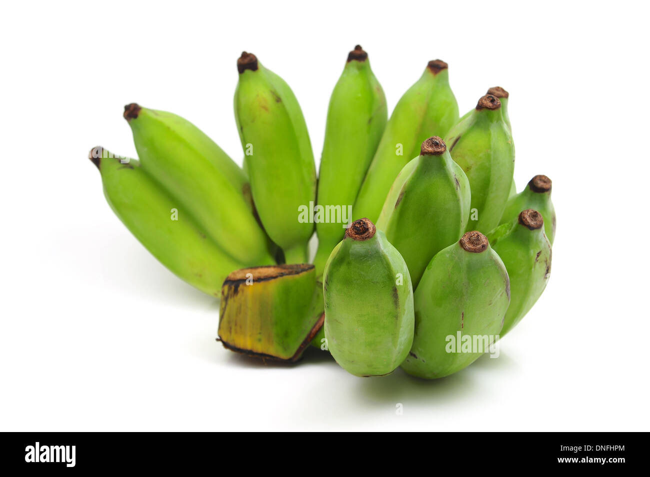 Grüne Bananen Stockfoto