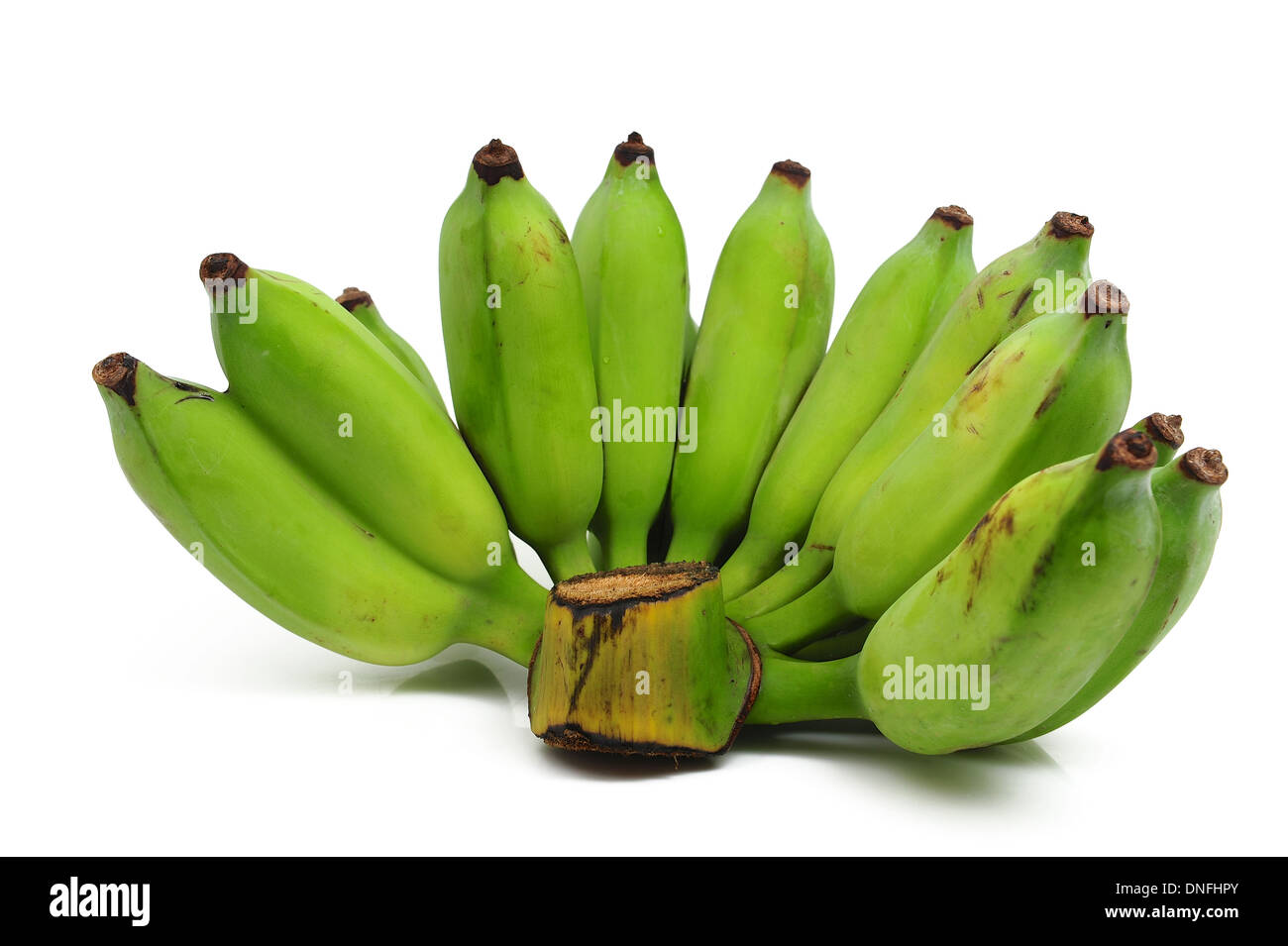 Grüne Bananen Stockfoto