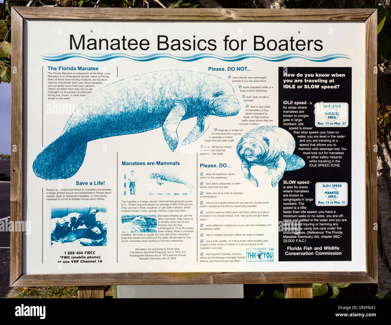 Ein Zeichen beschreibt die Florida Seekuh, eine vom Aussterben bedrohte Arten und wie Bootsfahrer vermeiden können, schädigen sie mit ihren Booten in den Gewässern von Florida, USA. Stockfoto
