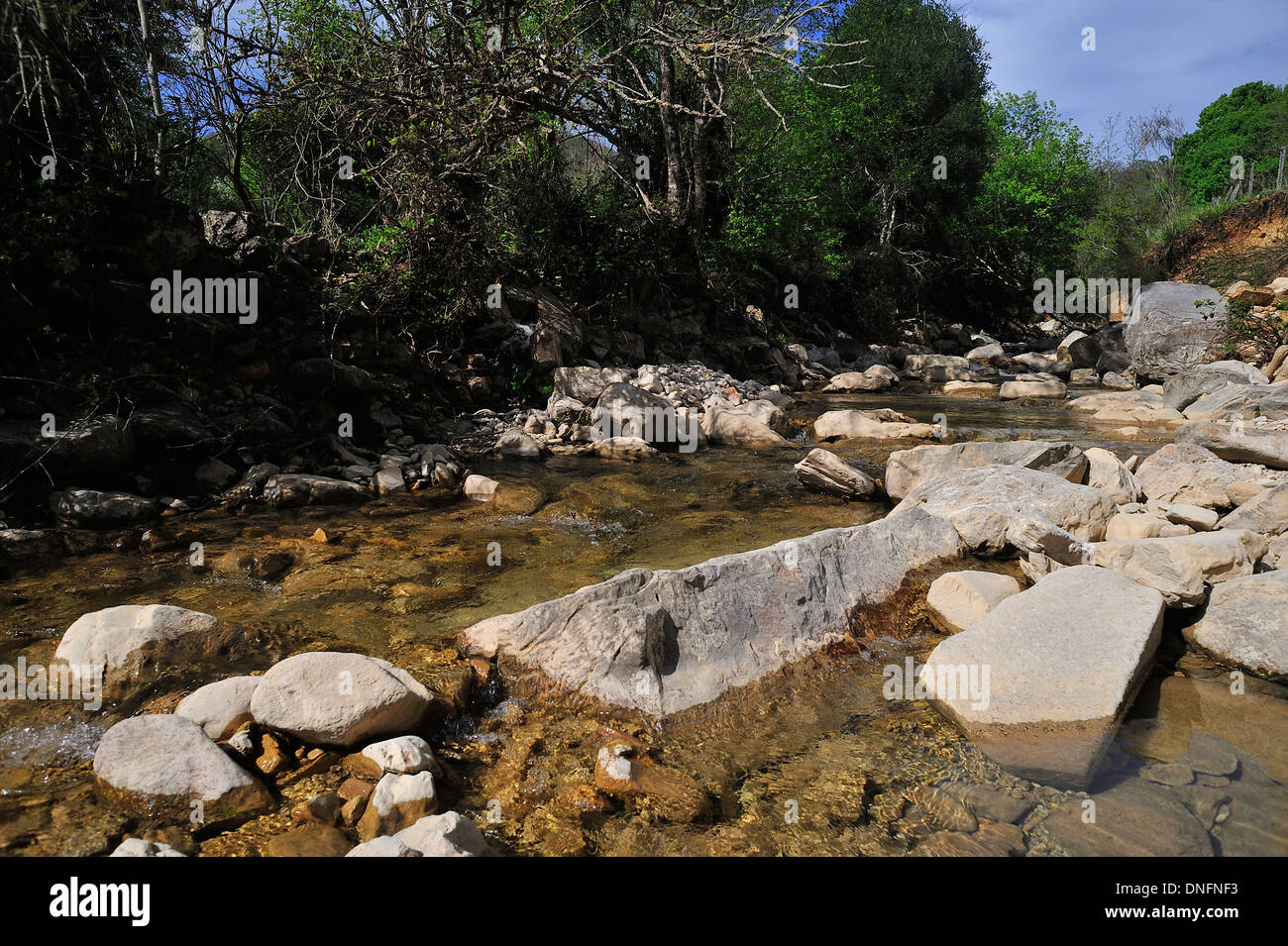 Rio Fiume, Tolfa Berge, Viterbo, Italien Stockfoto