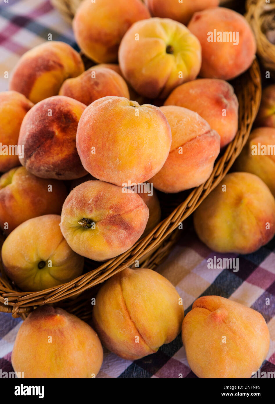 Frische Pfirsiche der Palisade zum Verkauf, Buena Vista, Colorado, Bauernmarkt Stockfoto