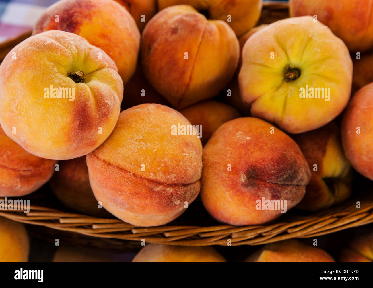 Frische Pfirsiche der Palisade zum Verkauf, Buena Vista, Colorado, Bauernmarkt Stockfoto