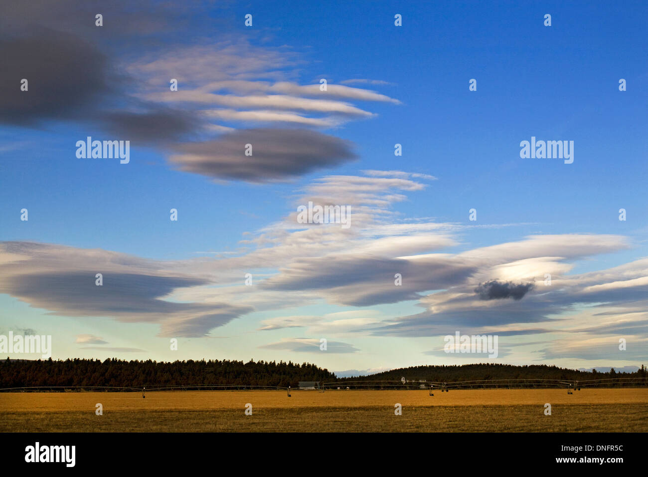 Linsenförmige Wolken über einem Feld-Hof in Zentral-Oregon Stockfoto