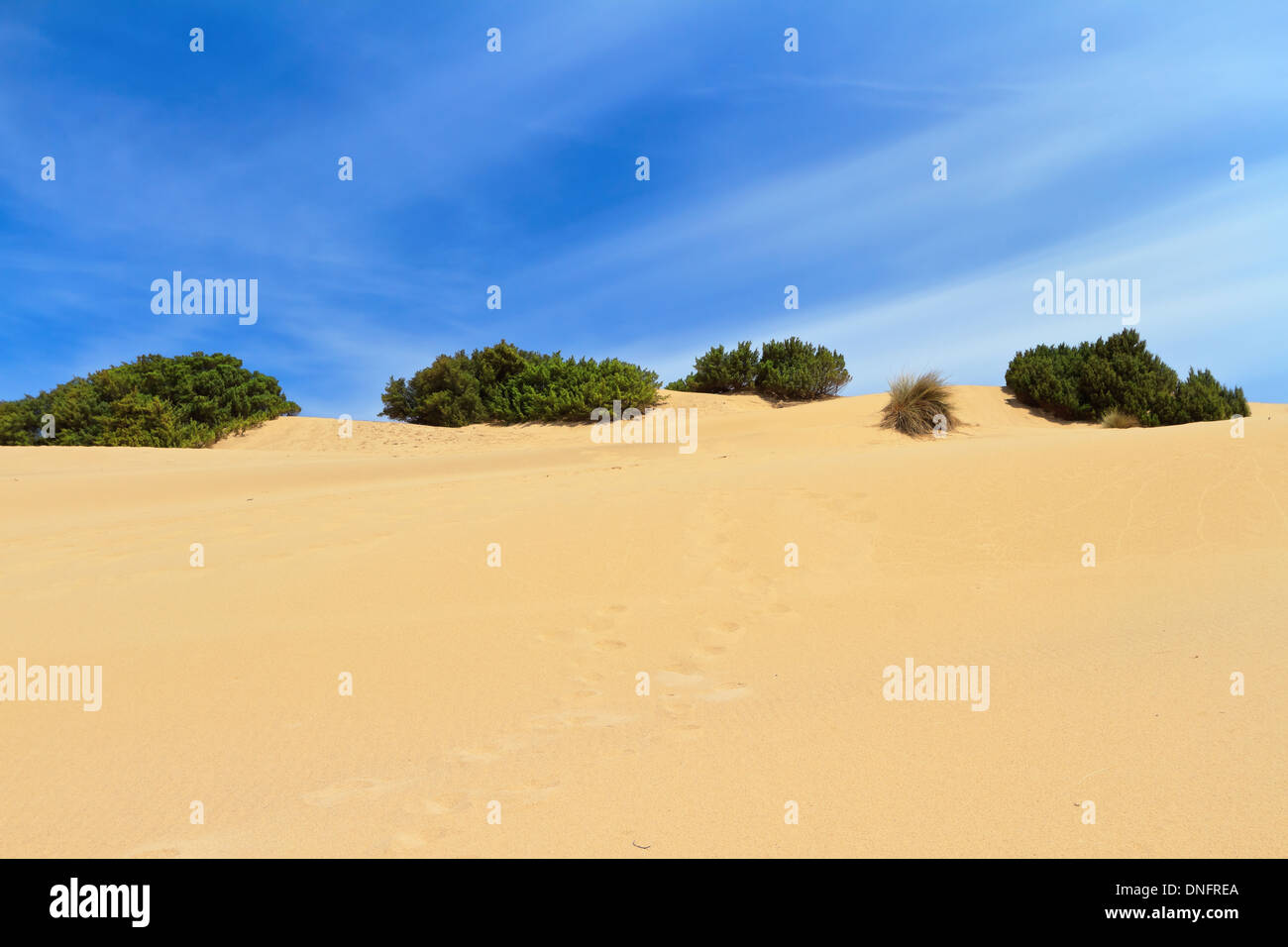 Piscinas Düne in Costa Verde, Süd-West Sardinien, Italien Stockfoto