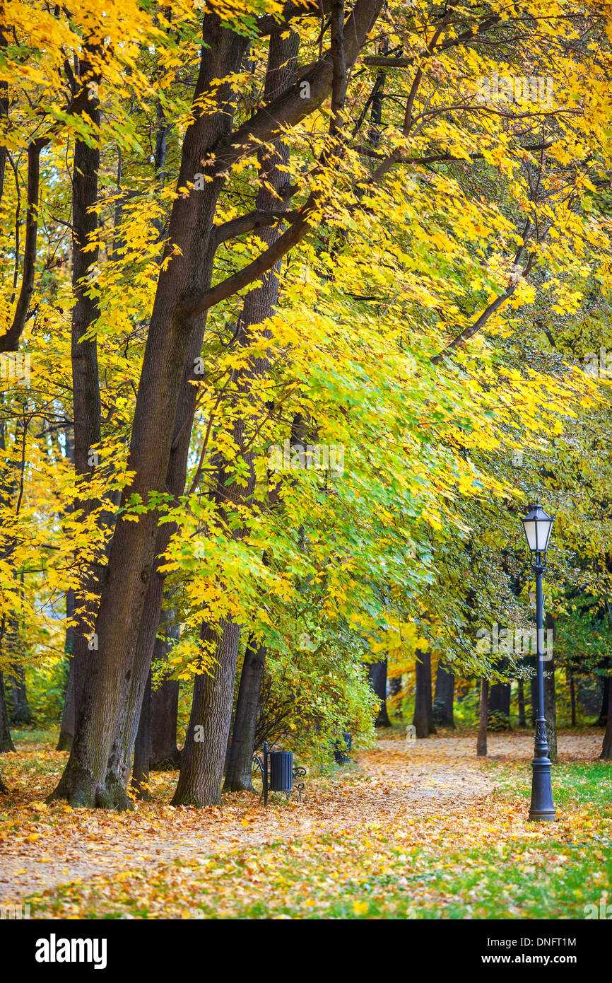 Park im Herbst, Weg mit Blättern übersät Stockfoto