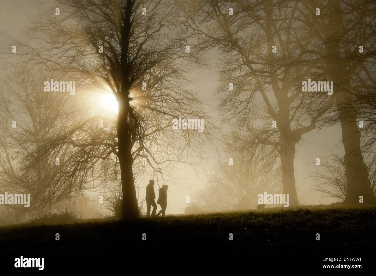 Sonnenlicht durch Nebel und Bäume, Malvern Worcs UK Stockfoto