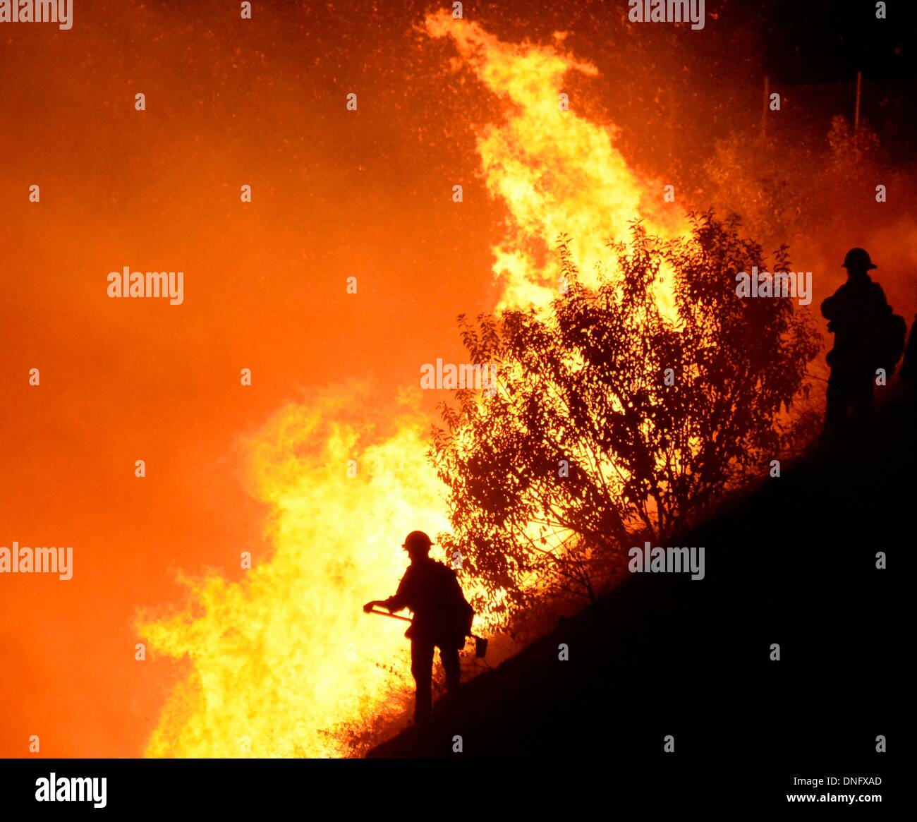 25. Dezember 2013, Simi Valley Kalifornien-USA. Ventura Feuerwehr zusammen mit Los Angeles, LA County und CalFire kämpfen ein Buschfeuer Weihnachten Nacht späten Mittwoch 25. Dezember in Simi Valley. Die starken Winde helfen die Buschfeuer entlang Santa Susana Pass Rd. westlich von Rocky Peak südlich der 118 Autobahn brennen. Das Brennen rund um 8-10 Hektar und keine Häuser wurden beschädigt. Das verursacht ist zu diesem Zeitpunkt noch unbekannt. Simi Valley ca. 25. Dezember 2013 Foto von Gene Blevins/LA DailyNews/ZumaPress. (Kredit-Bild: © gen Blevins/ZUMAPRESS.com) Bildnachweis: ZUMA Press, Inc./Alamy Live-Nachrichten Stockfoto