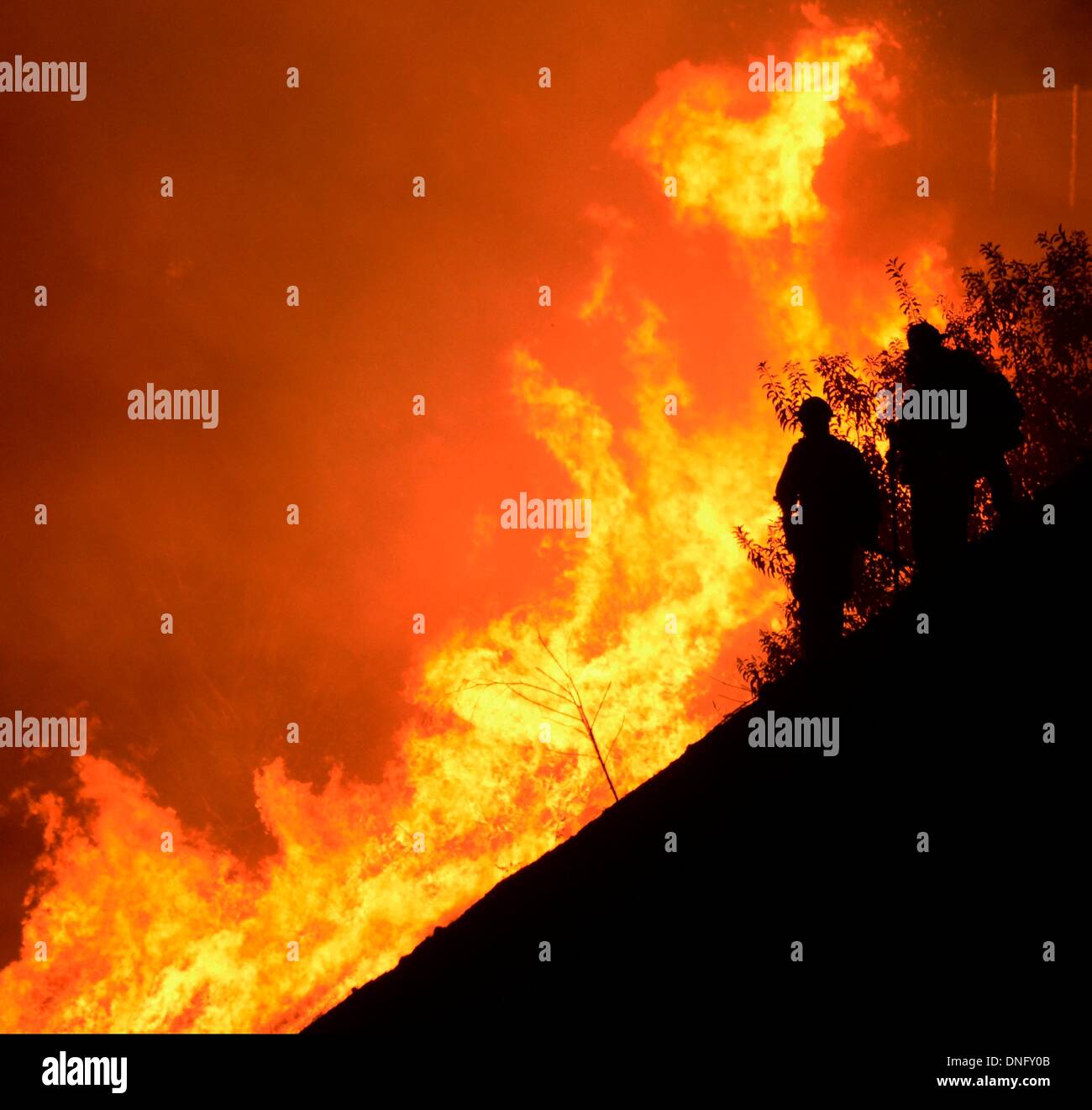 25. Dezember 2013, Simi Valley Kalifornien-USA. Ventura Feuerwehr zusammen mit Los Angeles, LA County und CalFire kämpfen ein Buschfeuer Weihnachten Nacht späten Mittwoch 25. Dezember in Simi Valley. Die starken Winde helfen die Buschfeuer entlang Santa Susana Pass Rd. westlich von Rocky Peak südlich der 118 Autobahn brennen. Das Brennen rund um 8-10 Hektar und keine Häuser wurden beschädigt. Das verursacht ist zu diesem Zeitpunkt noch unbekannt. Simi Valley ca. 25. Dezember 2013 Foto von Gene Blevins/LA DailyNews/ZumaPress. (Kredit-Bild: © gen Blevins/ZUMAPRESS.com) Bildnachweis: ZUMA Press, Inc./Alamy Live-Nachrichten Stockfoto