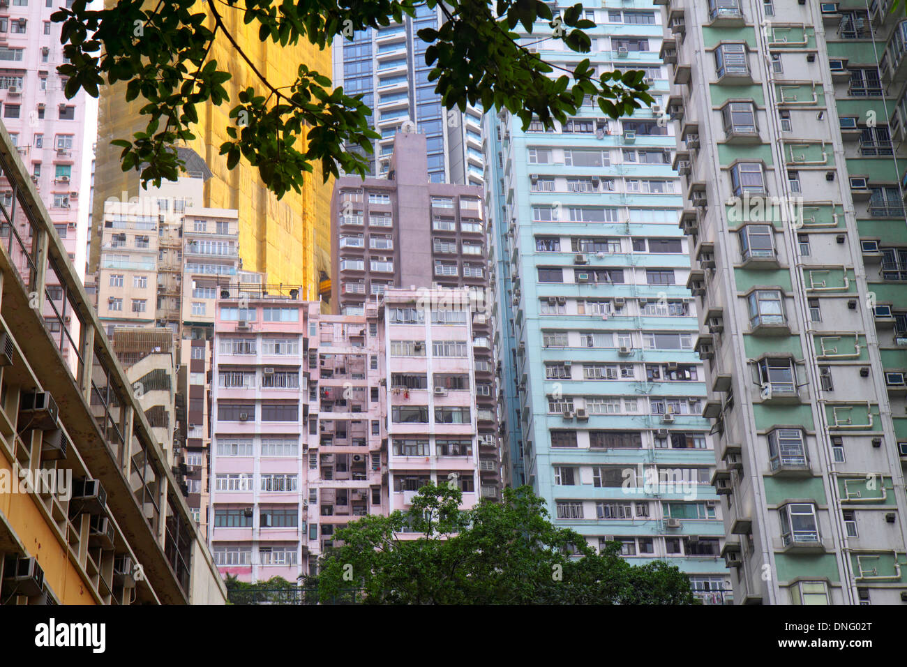 Hong Kong China, HK, Asien, Chinesisch, Orientalisch, Insel, Sheung Wan, mittlere Etagen, Leiter Street, Hochhaus, Wohnanlage, Wohnung, Wohnungen Stockfoto