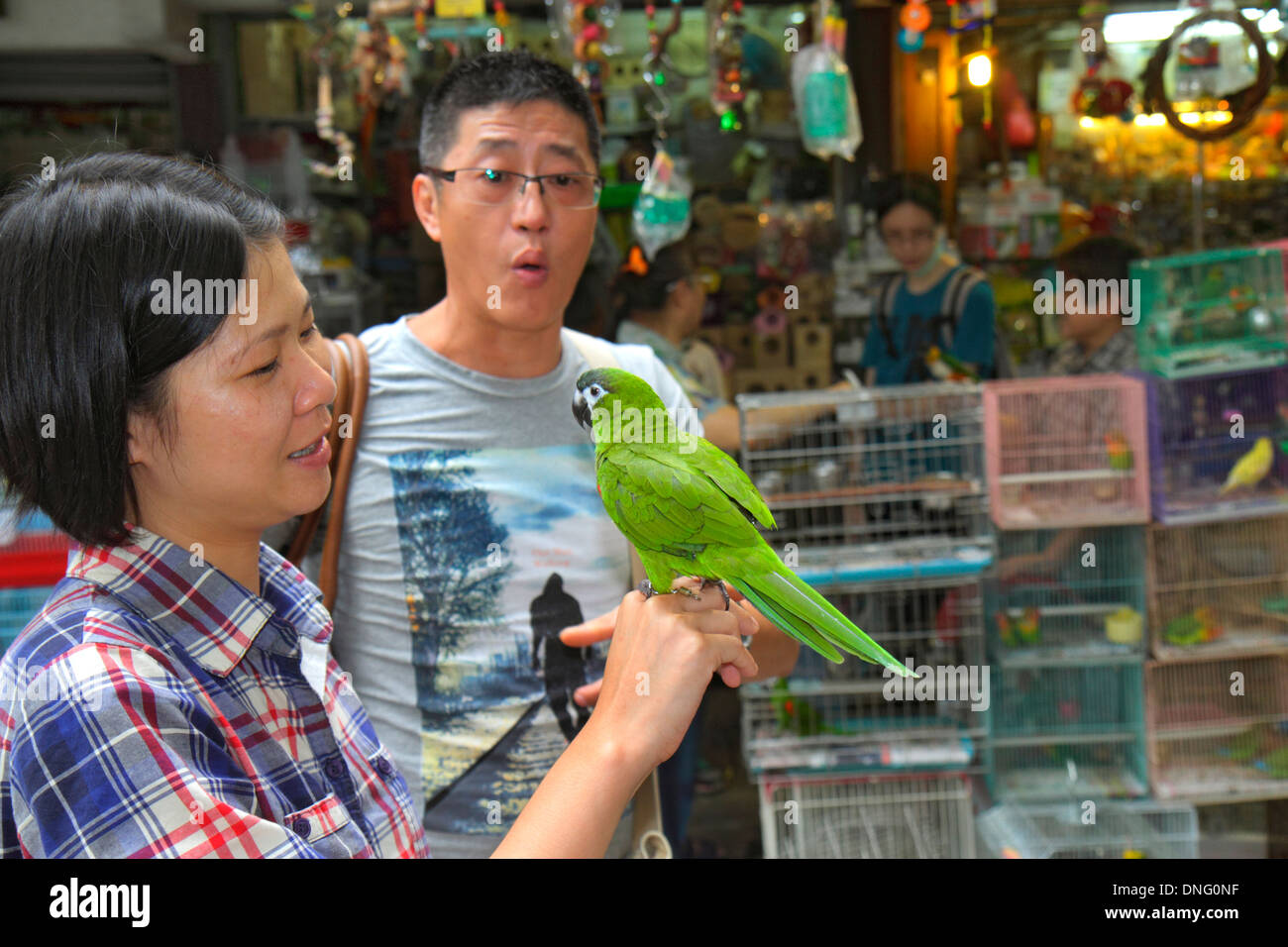 Hong Kong China, HK, Chinesisch, Kowloon, Prinz Edward, Yuen Po Street, Bird Garden Market, Verkäufer, Stände Stand Stand Markt Kauf Verkauf, Display Sal Stockfoto
