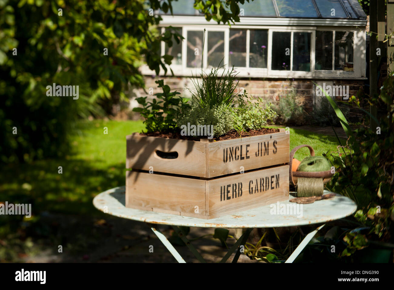 Onkel Jim Kräutergarten; personalisierte Holzkiste mit Erde gefüllt. Verschiedene Kräuter wachsen. Stockfoto