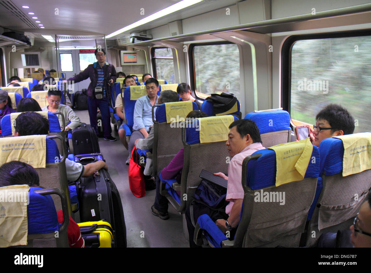 Peking China, Chinesisch, Flughafen-Express-Zug, Beijing Capital International Airport, PEK, an Bord, Passagierkabine, Passagierpassagiere Fahrer, Fahrer Stockfoto