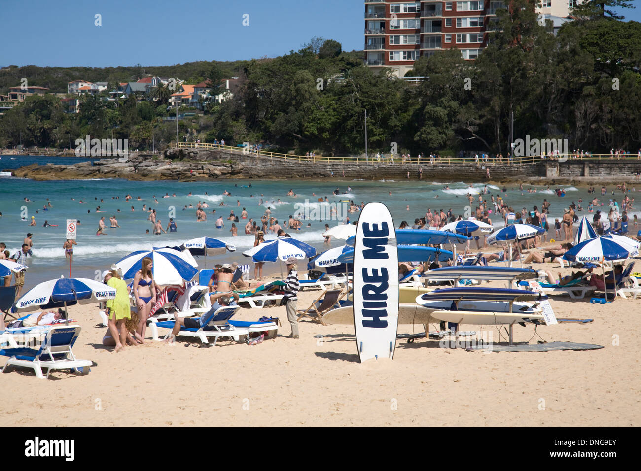 Strandausrüstung zu mieten, Liegestühle, Sonnenstrahlen und Sonnenschirme zu mieten am Manly Beach in Sydney, NSW, Australien Stockfoto