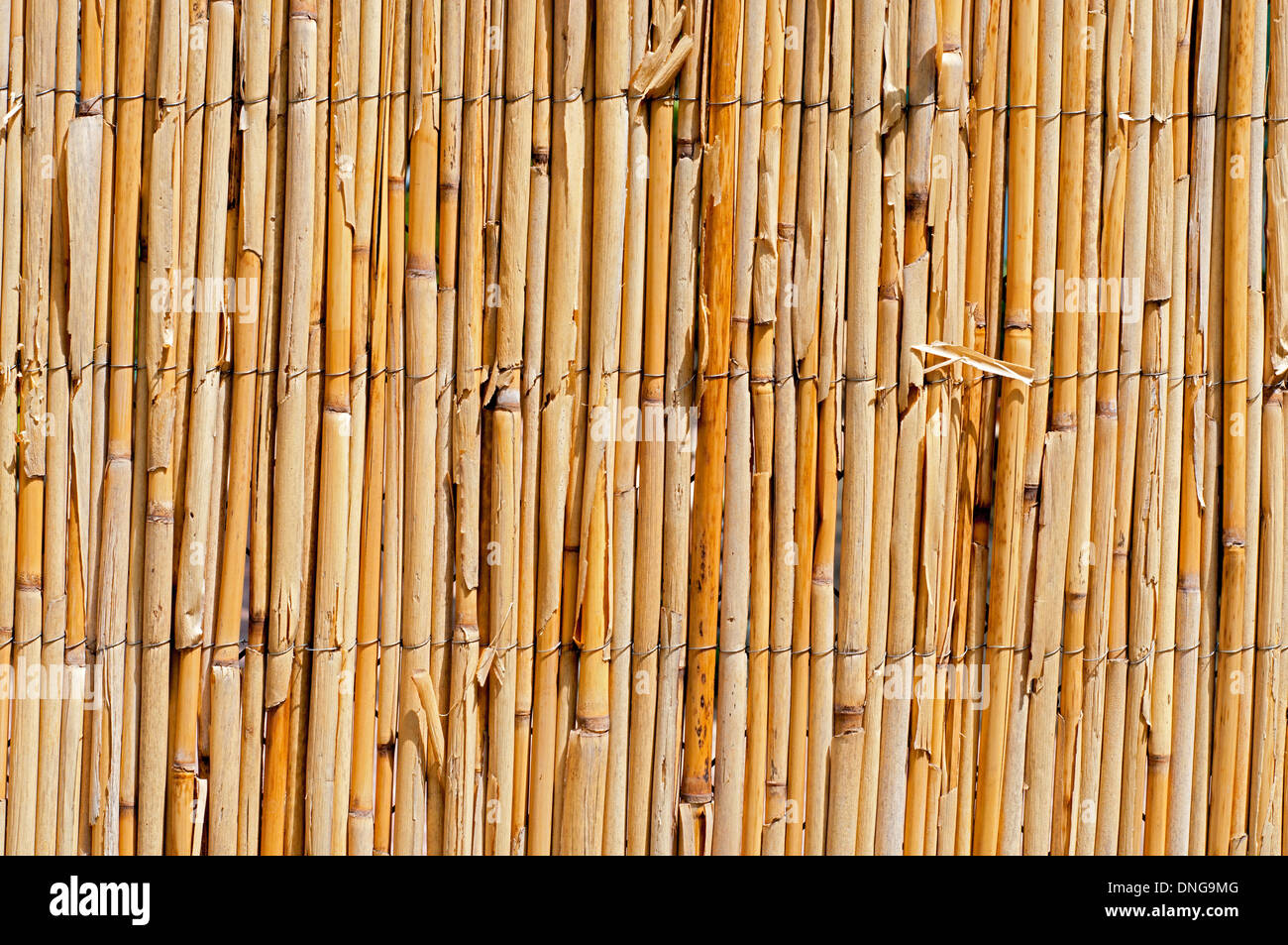 Flechtwerk-Zaun-Textur. Stockfoto