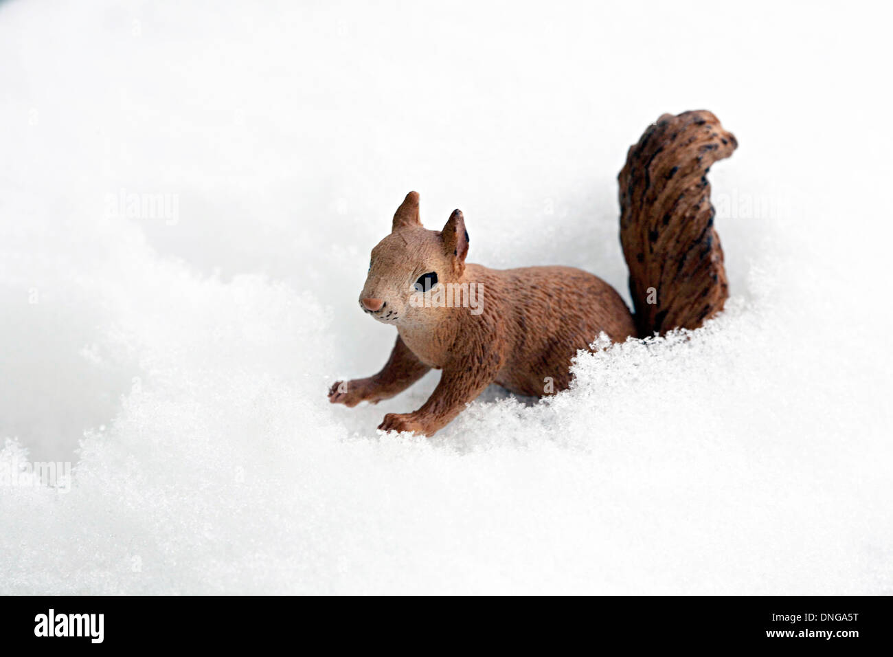 Eichhoernchen; Schnee, Kitsch Stockfoto
