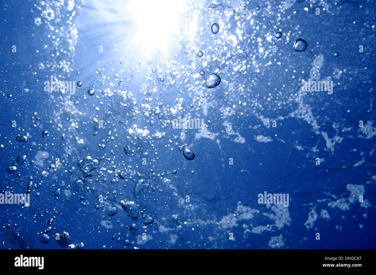 Unter Wasser Bläschen Luft steigen zur Wasseroberfläche mit Sonnenlicht im Hintergrund, natürliche Szene, Karibik Stockfoto