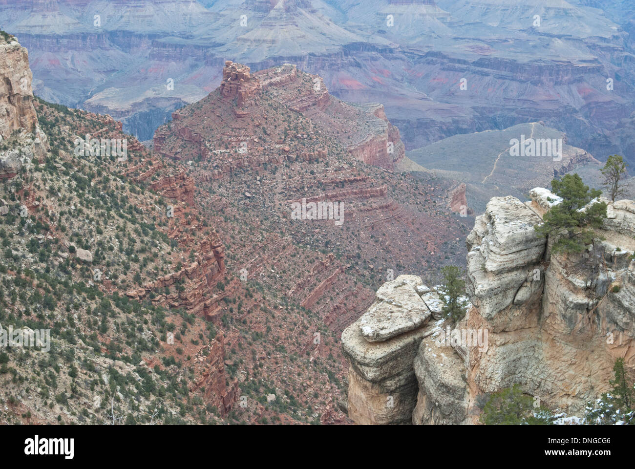 Winter früh am Grand Canyon Stockfoto