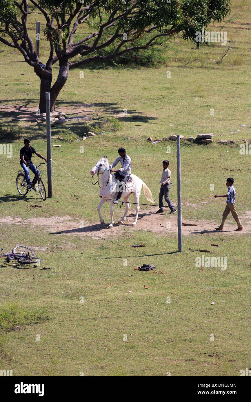Junge indische versuchen, ein Pferd zu zwingen, über ein Seil springen Stockfoto