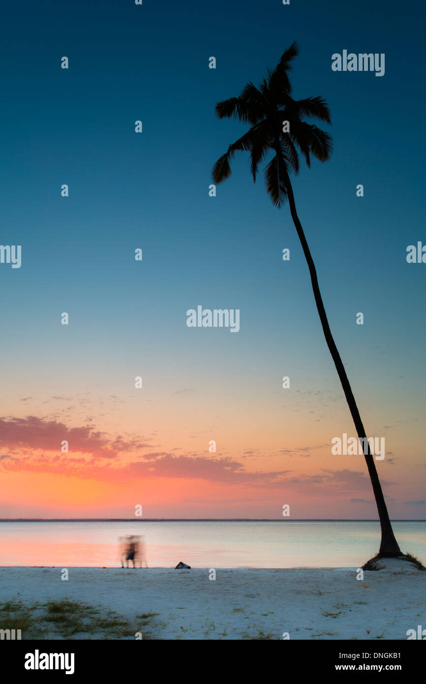 Palmen und Strand bei Sonnenuntergang in Sansibar, Tansania Stockfoto