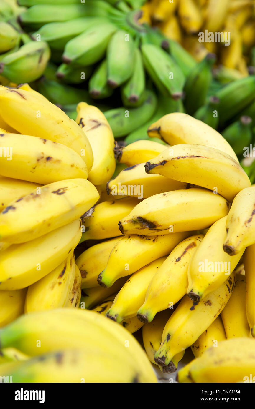 Die Trauben reif gelb und unreife grüne gestapelt Bananen im Freien an tropischen Früchten Bauernmarkt in Rio De Janeiro Brasilien Stockfoto