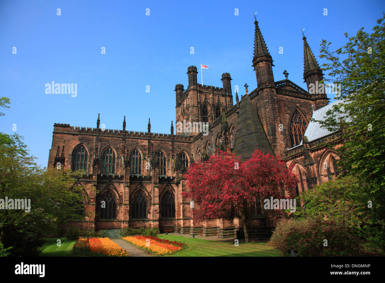 Chester Cathedral im Frühjahr, Chester, Cheshire West und Chester, Cheshire Stockfoto