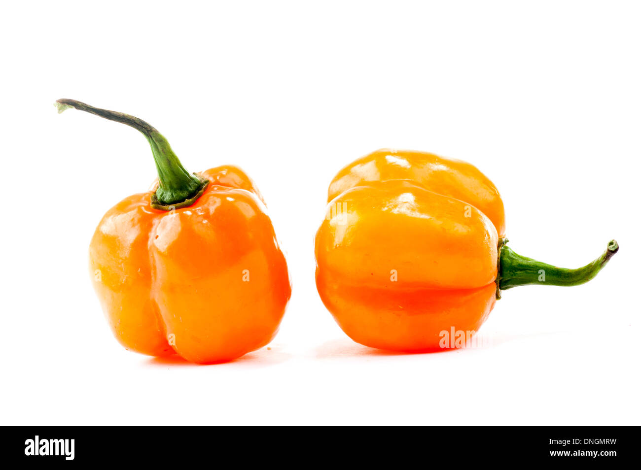 hot peppers - Pimenta de Cheiro - gelbe Paprika. Stockfoto