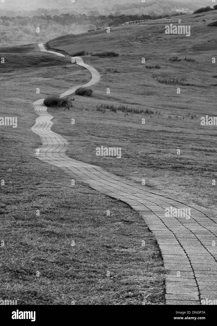 Ein schwarz-weiß Foto ein Trail auf Look At Me Now Landzunge, NSW, Australien Stockfoto