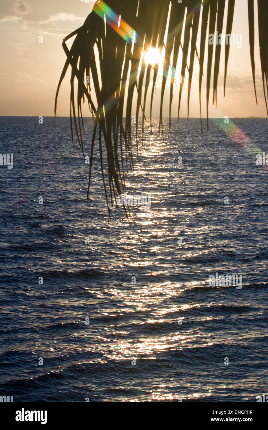 Schöne ruhige Strand Sonne aufgehen im Süden von Belize Stockfoto