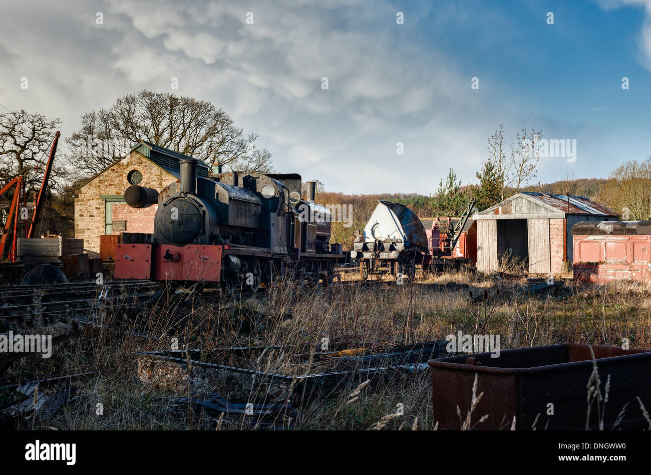 Dampf-Lokomotiven und Motor Schuppen an Beamish Stockfoto