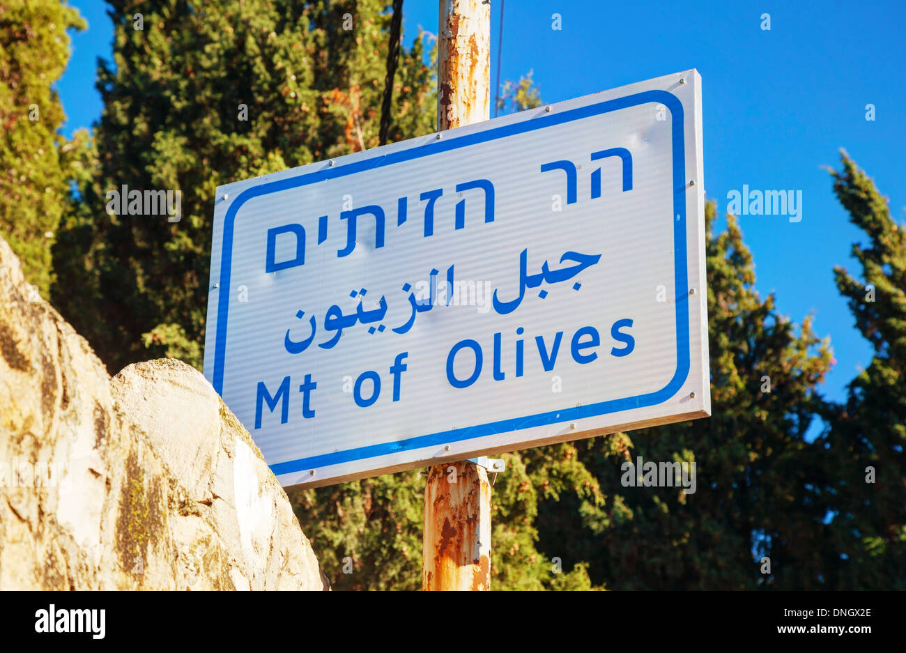 Zeichen der Ölberg in Jerusalem, Israel Stockfoto