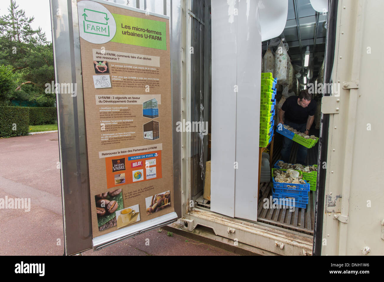 2CEDRIC PECHARD, AGRARINGENIEUR, INITIATOR DER STADT MICRO-FARMPROJEKT U-FARM, PRODUKTION VON AUSTERNPILZEN "CAFE DE PARIS" IN EINEM PILZ BETT MIT EINEM SUBSTRAT BESTEHEND AUS SÄGEMEHL UND KAFFEE GARTEN, PORTE DE MONTREUIL, 0. ARRONDISSEMENT, PARIS Stockfoto