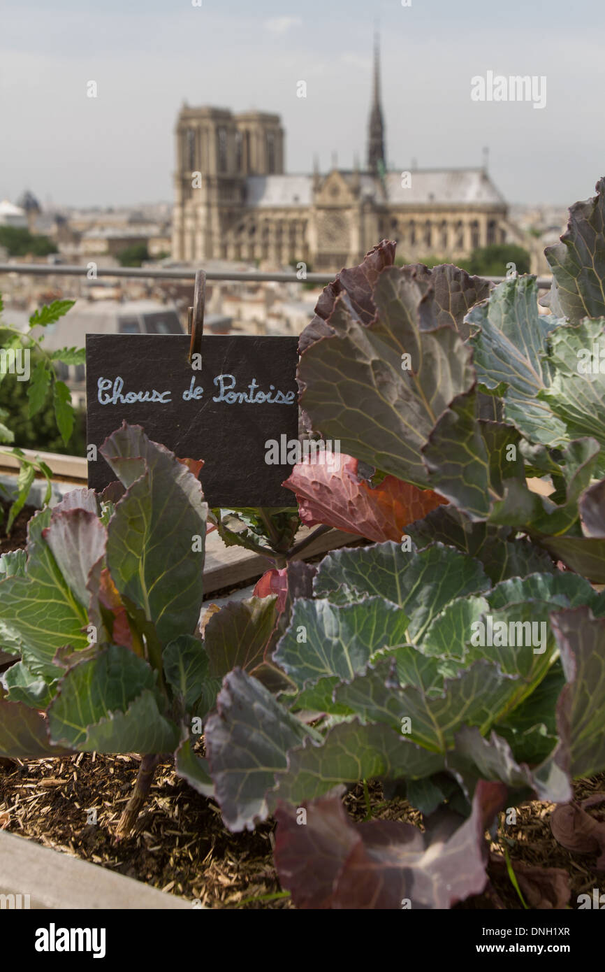 Dach Parisien Stockfotos und bilder Kaufen Alamy