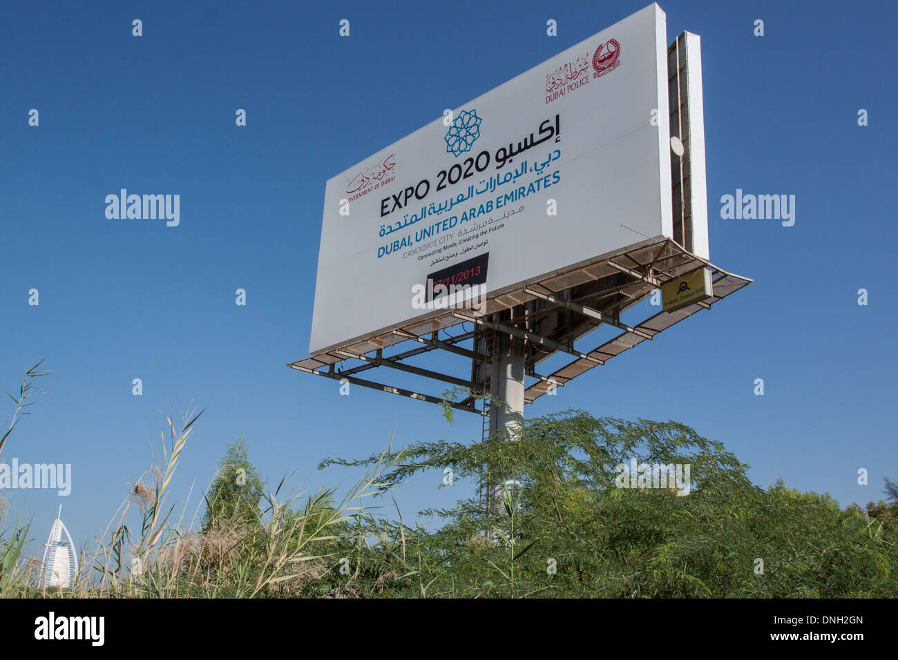 Highlighted lung -Fotos und -Bildmaterial in hoher Auflösung – Alamy