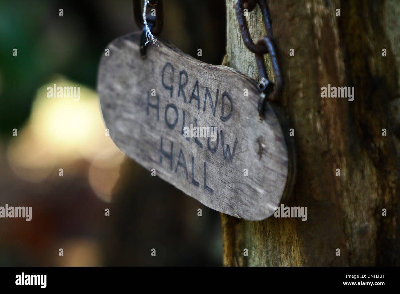 Fee zu unterzeichnen, in Wäldern am Baum Prunksaal Hollow Stockfoto