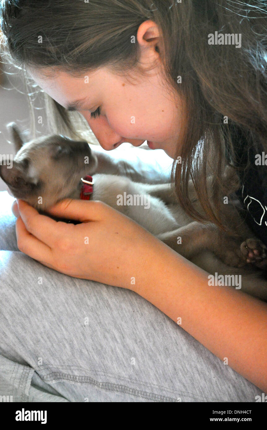 Porträt der hübsche Brünette Mädchen küssen eine Kätzchen Stockfoto