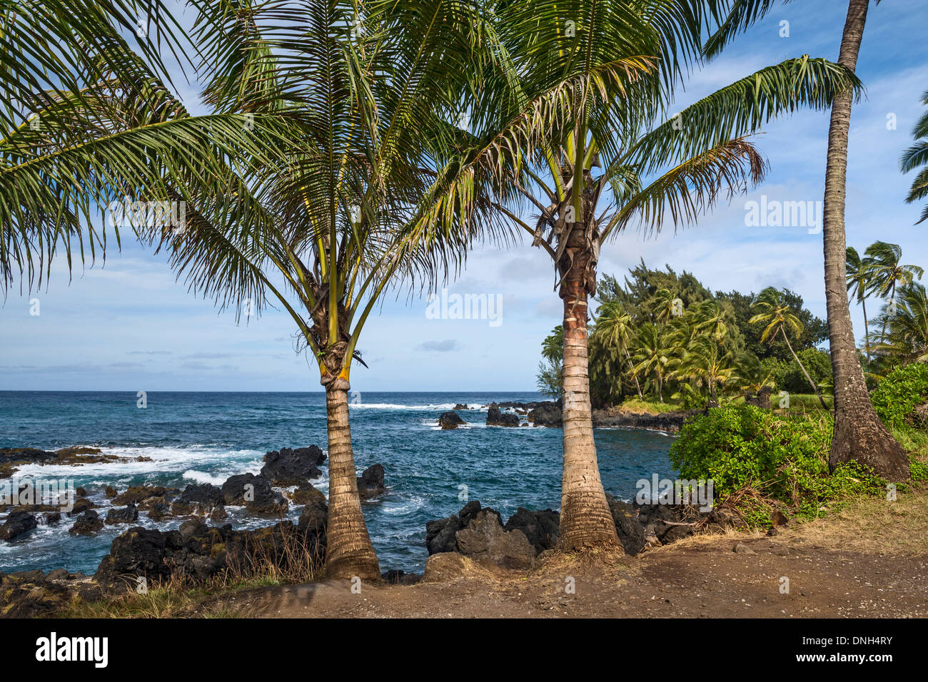 Der vulkanischen Küste der Halbinsel Keanae in Maui. Stockfoto