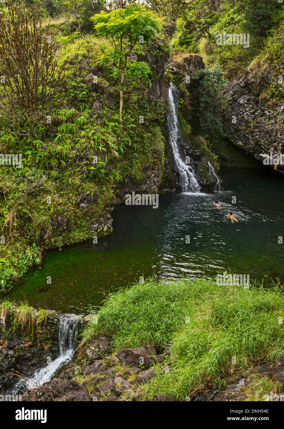 Ein paar, Schwimmen im Pool Hanawi fällt in Maui zu genießen. Stockfoto