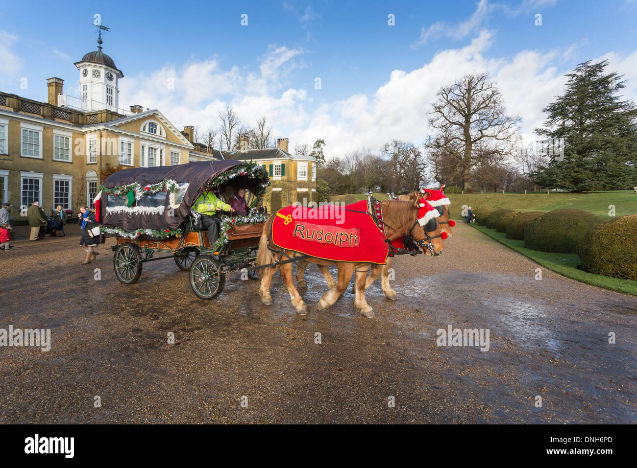 Pferdekutsche fährt für Xmas bei Polesden Lacey, Surrey, mit Pferden mit roten decken "Rudolph" Stockfoto