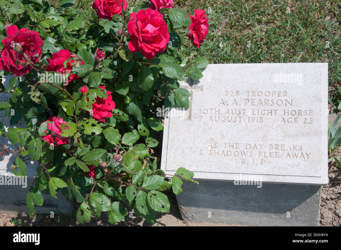 Alliierten Soldatenfriedhof bei Ari Burnu (ANZAC Cove), Gallipoli, Türkei Stockfoto