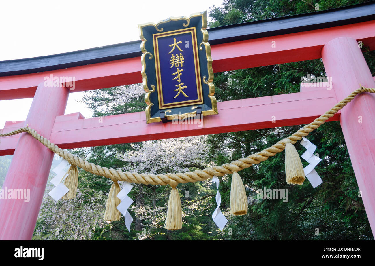 Torii - Tor zu einem japanischen Shinto-Schrein. Stockfoto