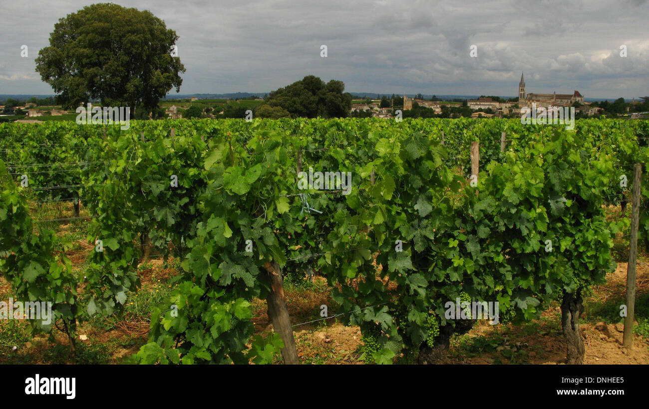 WEINBERG UND DORF SAINT-EMILION, SAINT-EMILION (33) GIRONDE, AQUITAINE, FRANKREICH Stockfoto