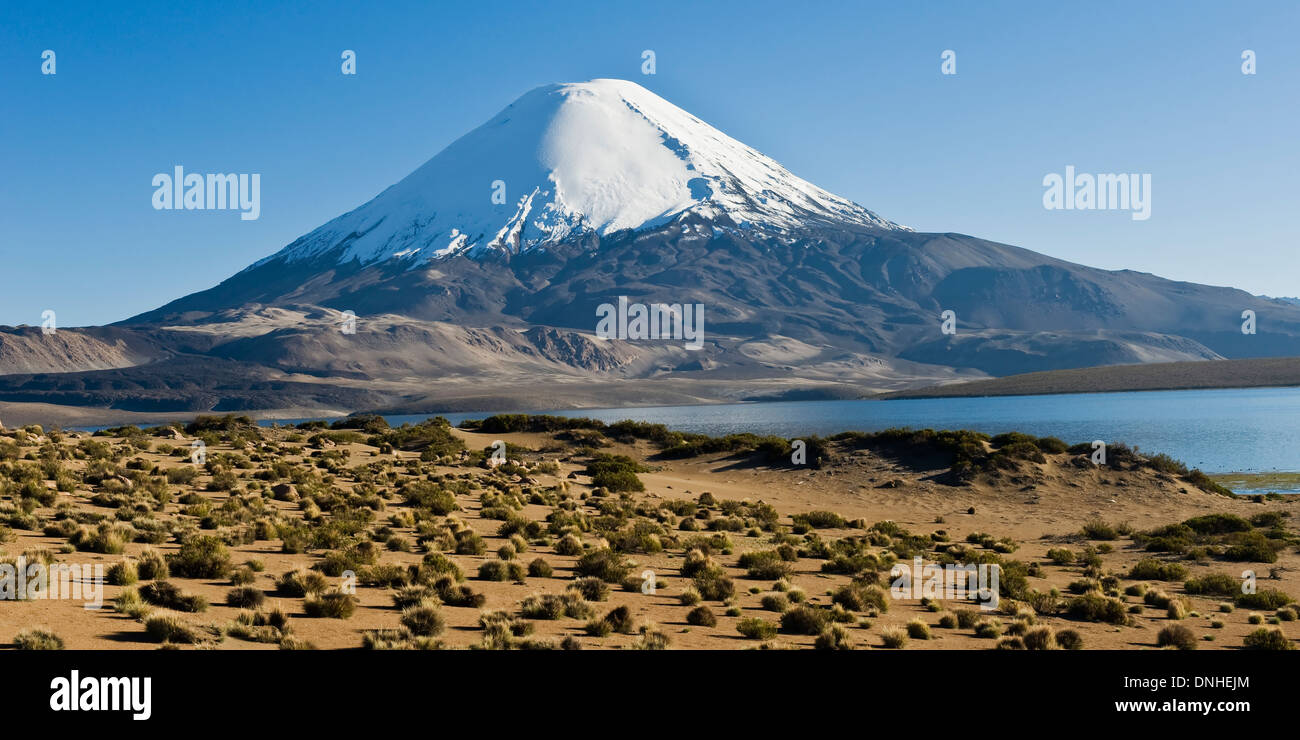 Vulkan Parinacota Lauca Nationalpark, Chile Stockfoto