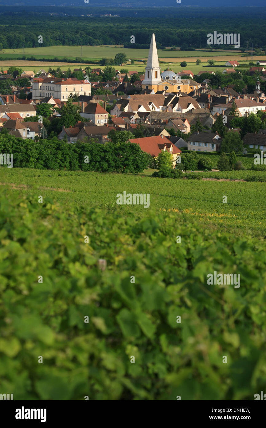 DORF UND DIE WEINBERGE VON GIVRY, (71) SAONE-ET-LOIRE, BURGUND, FRANKREICH Stockfoto