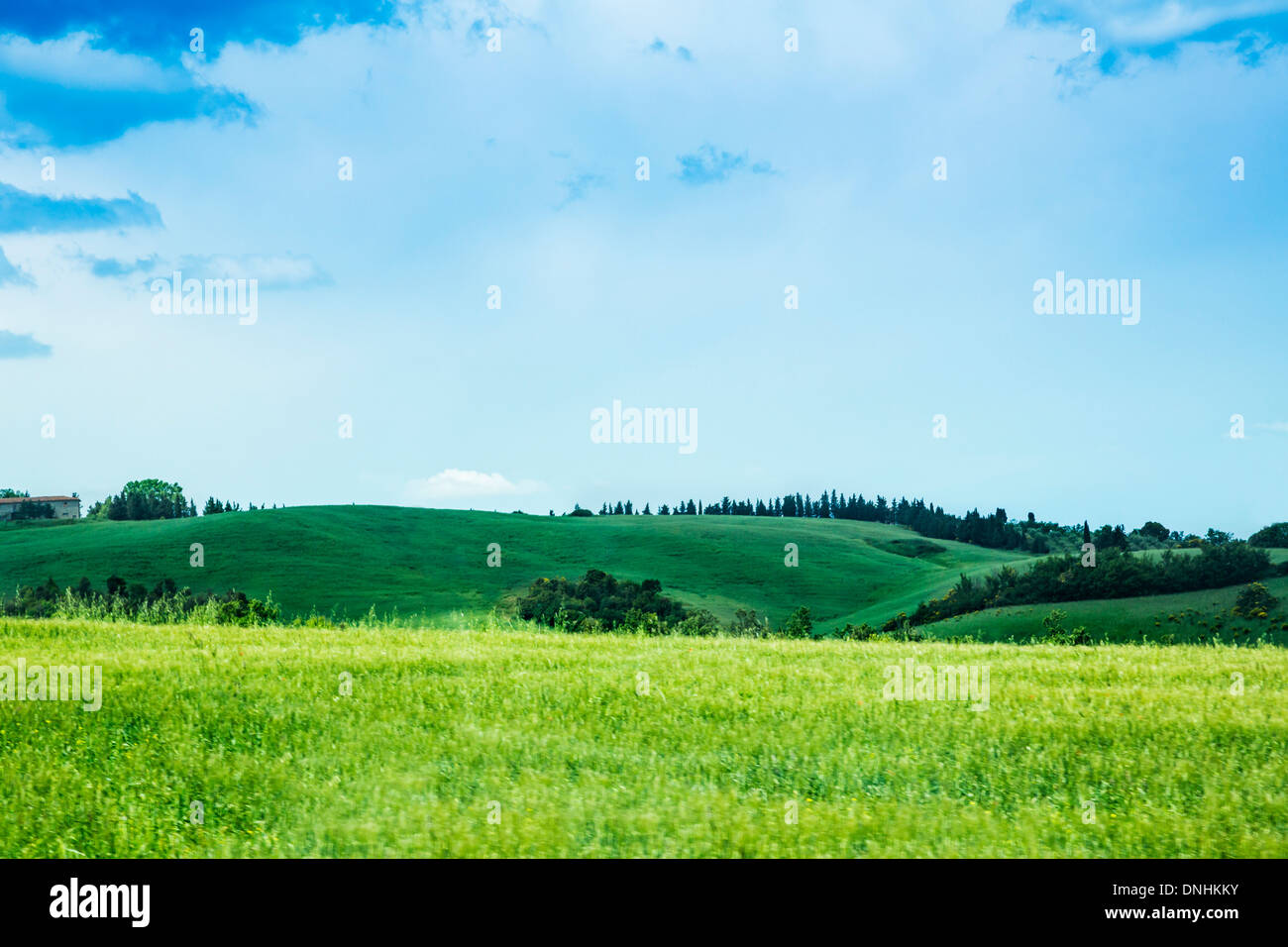 Landschaft, Volterra, Provinz Pisa, Toskana, Italien Stockfoto