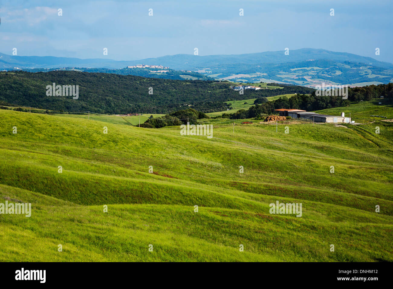 Landschaft, Volterra, Provinz Pisa, Toskana, Italien Stockfoto