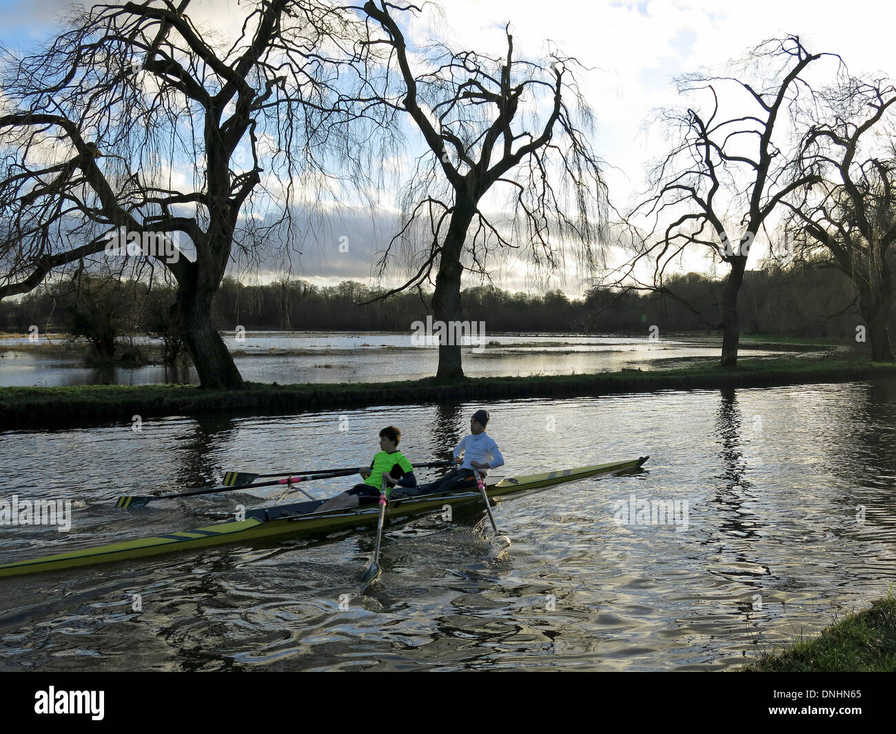 Guildford, Surrey, UK. 30. Dezember 2013. Überflutung der Fluss Wey in Guildford, Surrey. Ruderer weiterhin stellen des Flusses trotz der umfangreichen Überschwemmungen des Bereichs verwenden. Bildnachweis: James Jagger/Alamy Live News Stockfoto