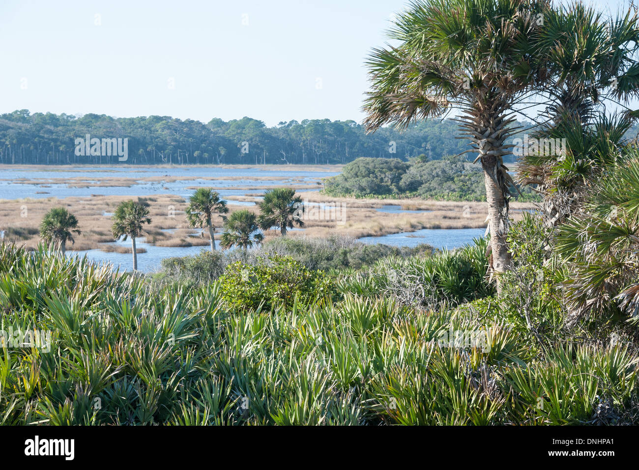 Blick auf das Guana River Wildlife Management Area von den Sanddünen am Meer am Ponte Vedra Beach, Florida. (USA) Stockfoto