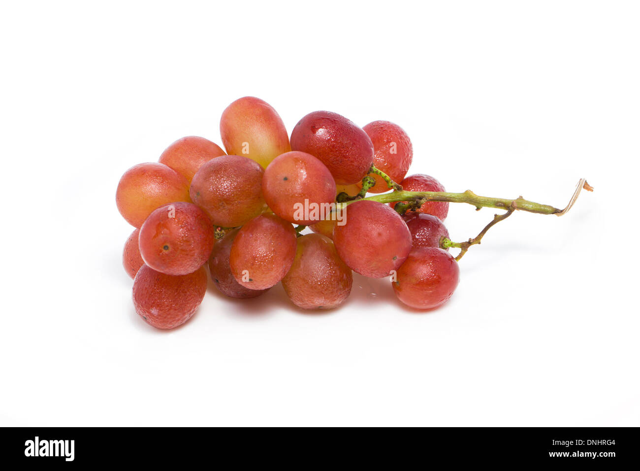 Frische rote Weintrauben auf weißem Hintergrund. Stockfoto